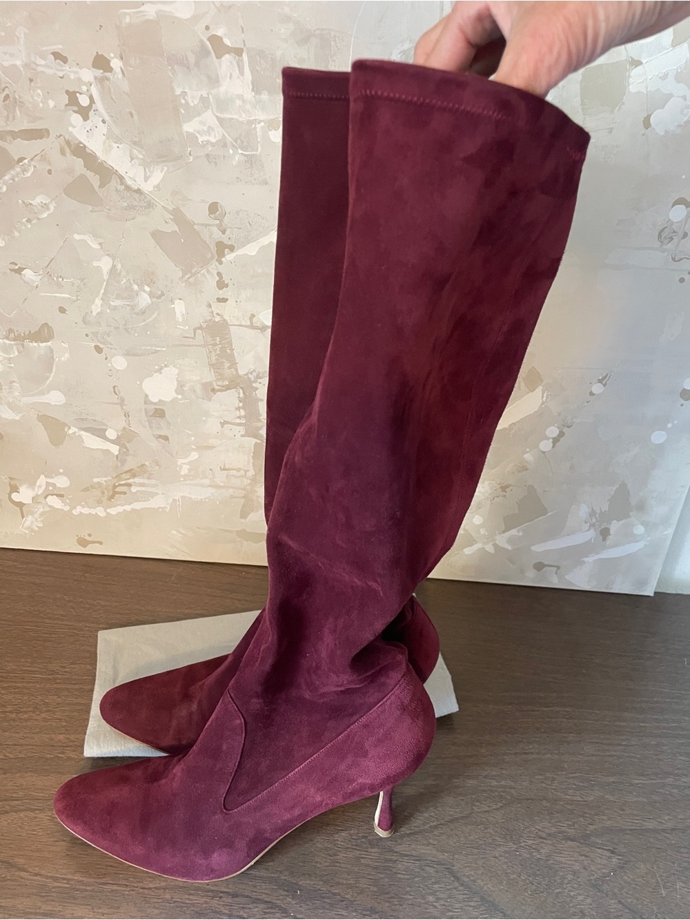 Manolo Blahnik Pamfilo Suede Tall Boots